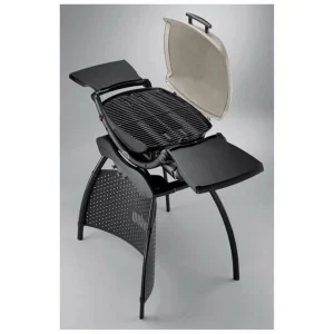 De gros 🔔 Weber Q 2000 Stand Titanium – Gril à Gaz 🔥 boutique en ligne 7