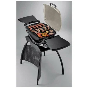 De gros 🔔 Weber Q 2000 Stand Titanium – Gril à Gaz 🔥 boutique en ligne 9