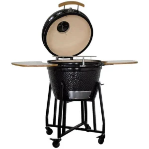 Bon marché ❤️ Mr. Grill KG46 Céramique Barbecue – Gril Au Charbon De Bois 🛒 design à la mode 7