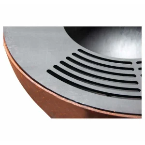 Meilleure affaire 🤩 Mr. Grill Plaque De Cuisson Avec Anneau De Cuisson – Gril Au Charbon De Bois 🔔 marque pas cher en ligne 9