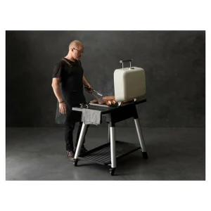Meilleur prix ✨ Everdure FORCE Gril Deux Brûleurs Graphite – Gril à Gaz 👍 en vente 7