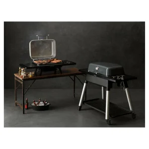 Meilleur prix ✨ Everdure FORCE Gril Deux Brûleurs Graphite – Gril à Gaz 👍 en vente 9