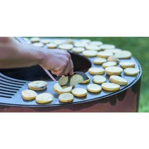 achetez Vente flash 😉 Eldur Basic 100 – Gril Au Charbon De Bois ⌛ 9