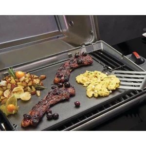 commentaire favorable Budget 🎁 Broil King Plaque En Fonte – Divers Grils ⋅ Camping 🌟 6