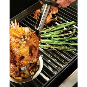 Sortie 🎁 Broil King Seringue à Marinade – Divers Grils ⋅ Camping 🧨 Paris 9