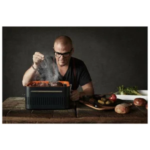 Top ventes Budget ✔️ Everdure CUBE Grill Stone – Gril Au Charbon De Bois 👏 7